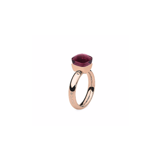 Dies ist ein Ring der Marke Qudo, Modell Firenze. Er hat eine Farbkombination aus Light Aubergine und Roségold. Der Ring strahlt Eleganz und Klasse aus und ist ideal für besondere Anlässe oder als alltägliches Accessoire.
